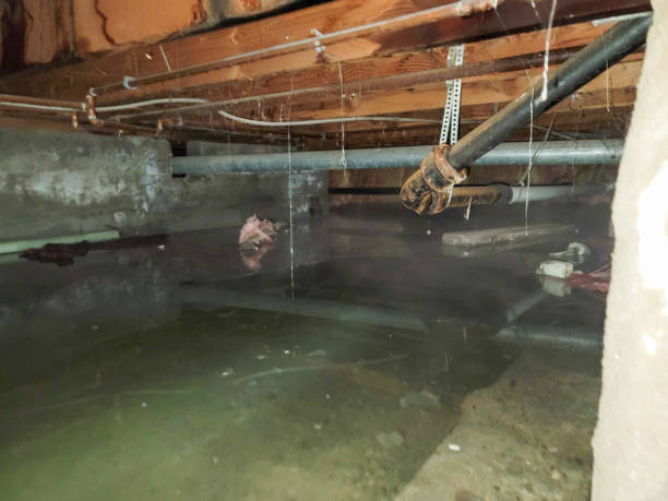 Best Water damage restoration specialists  in Wilton Center, CT