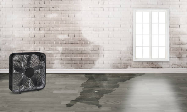 Best Emergency water damage restoration  in Wilton Center, CT
