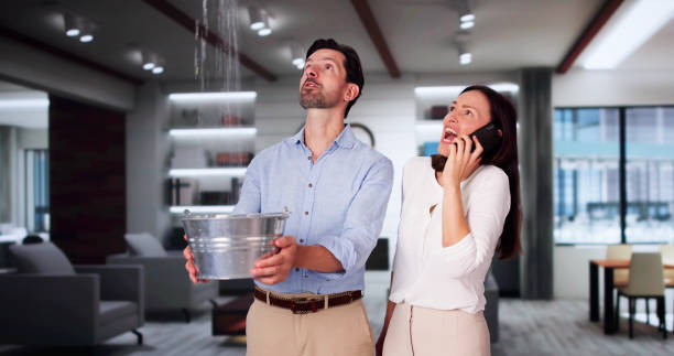 Best Basement water damage restoration  in Wilton Center, CT